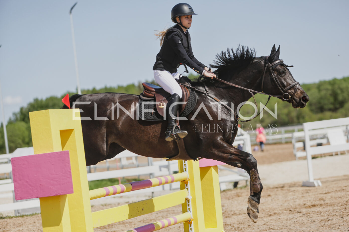 Gramina_Kevad_2026_100_473