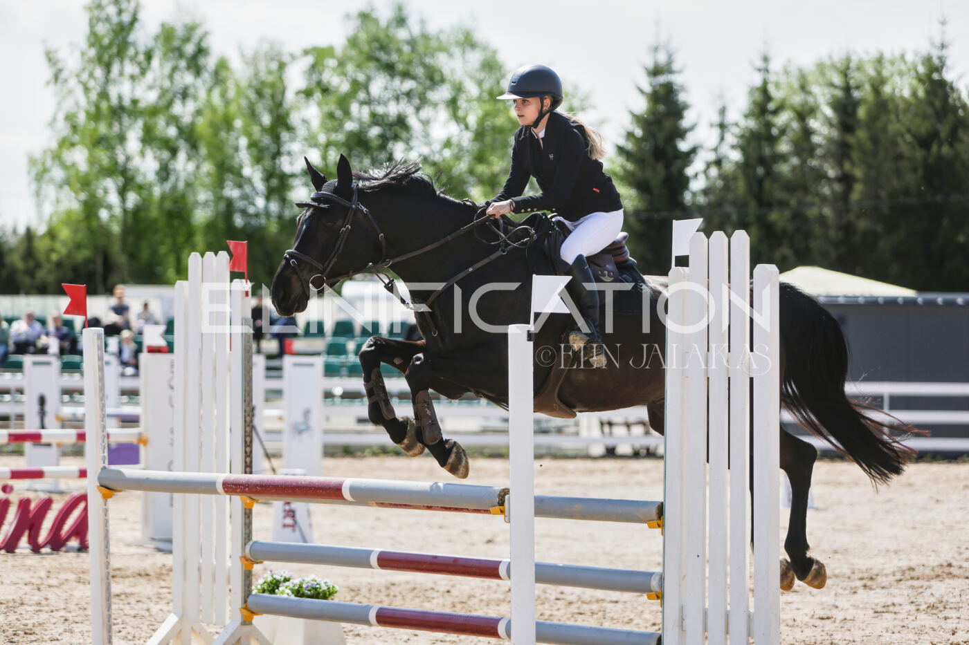 Gramina_Kevad_2026_100_474