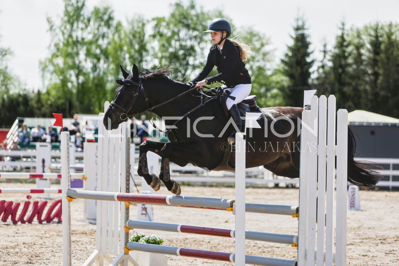 Gramina_Kevad_2026_100_475