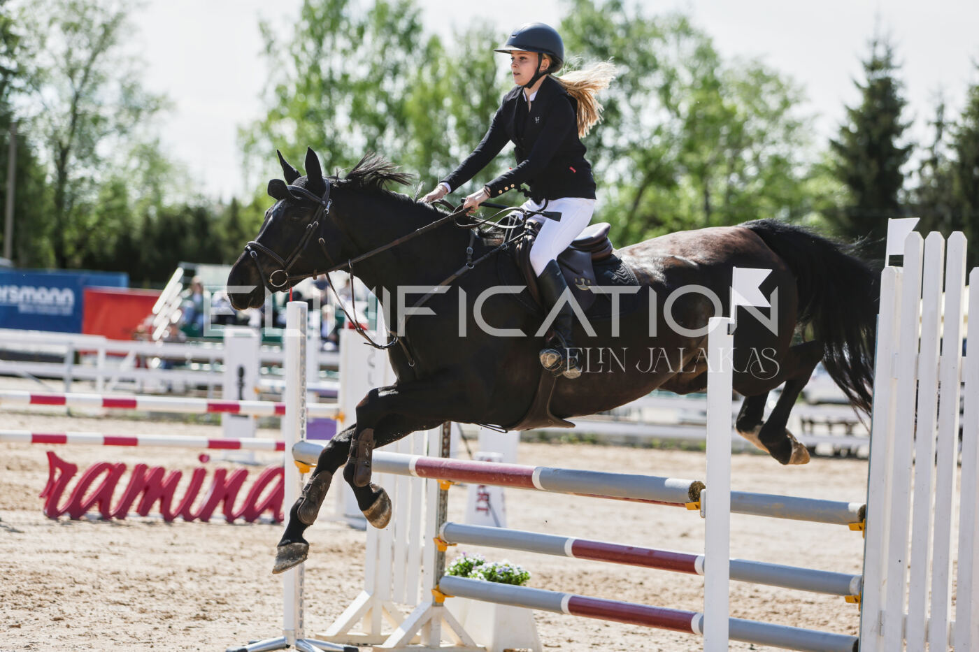 Gramina_Kevad_2026_100_477