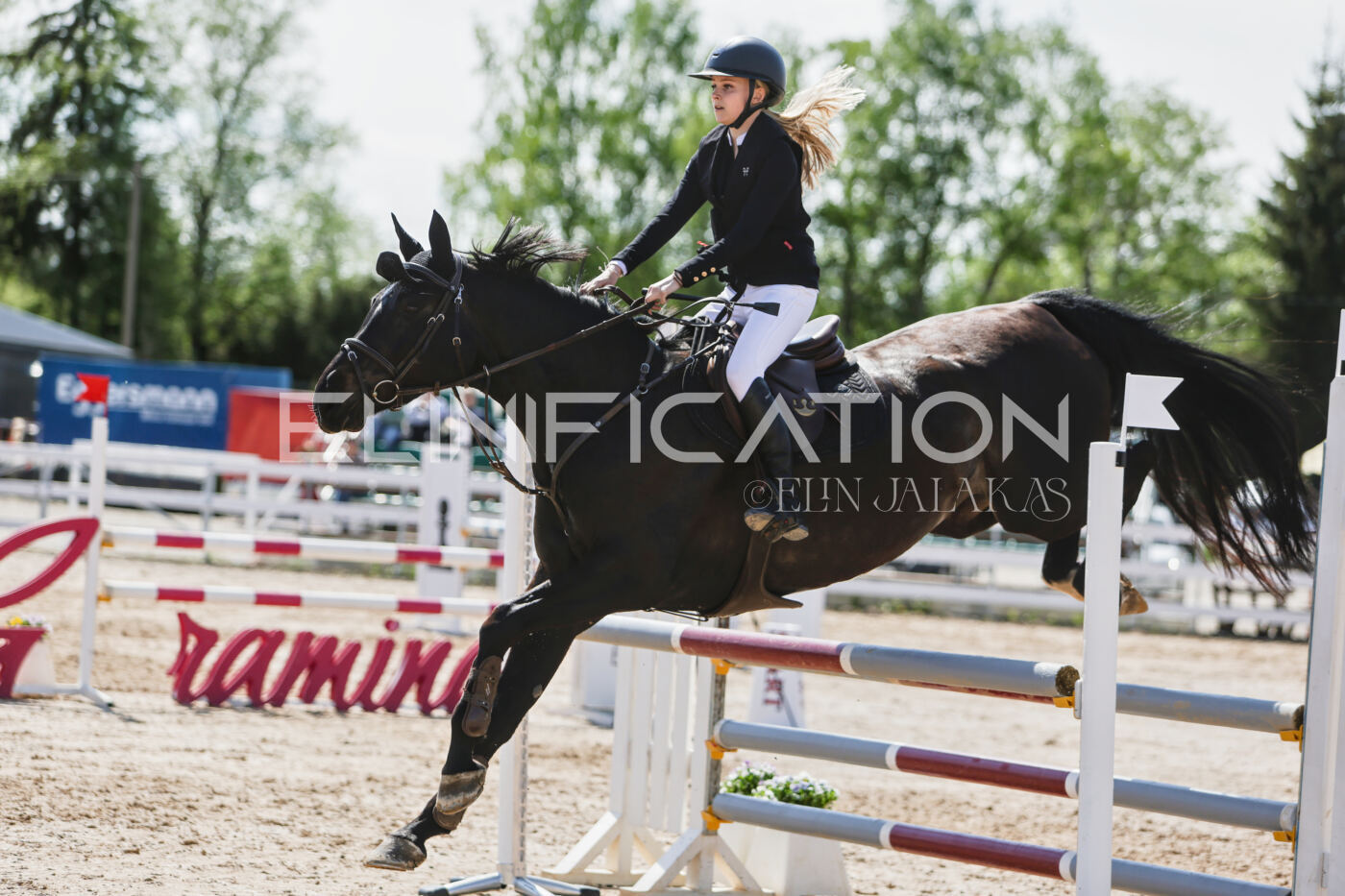 Gramina_Kevad_2026_100_478