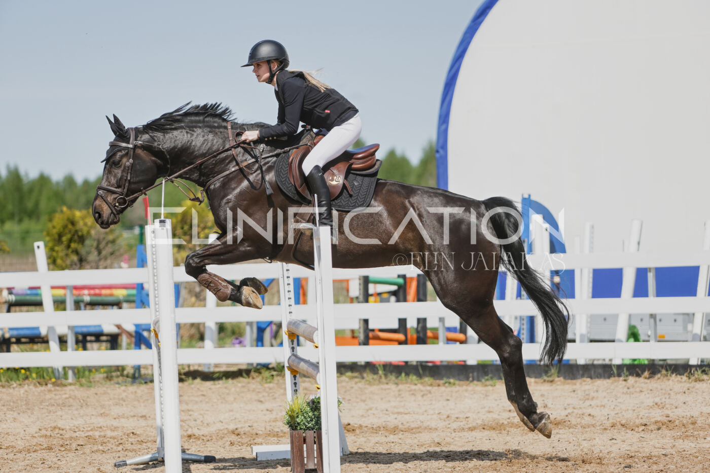 Gramina_Kevad_2026_100_481