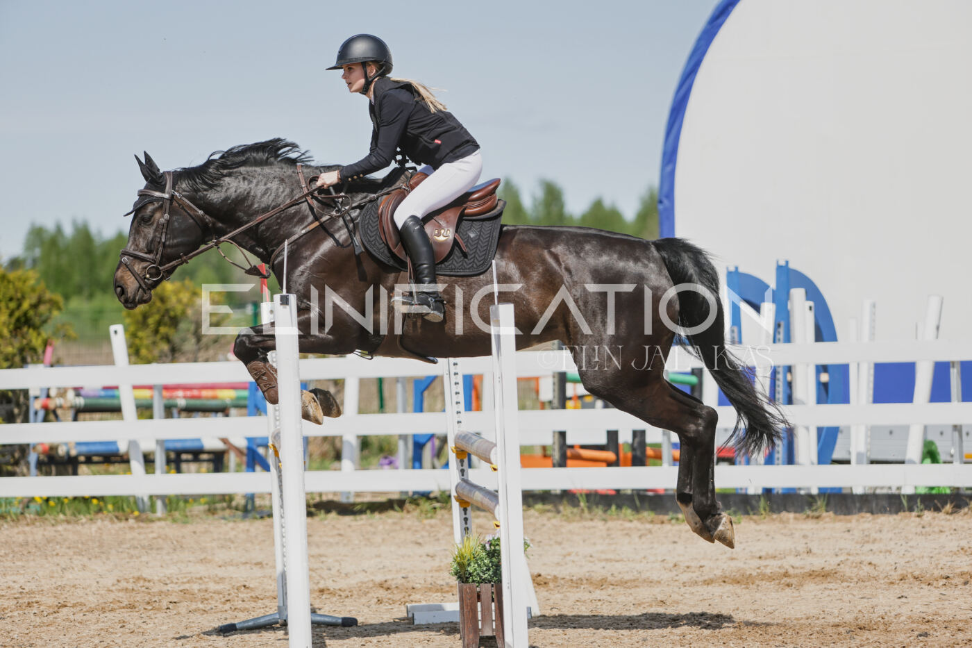 Gramina_Kevad_2026_100_482