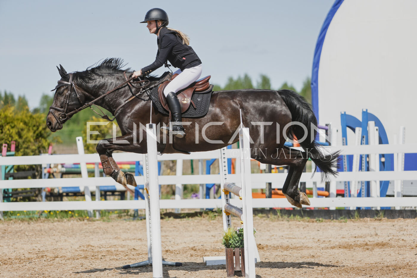 Gramina_Kevad_2026_100_483