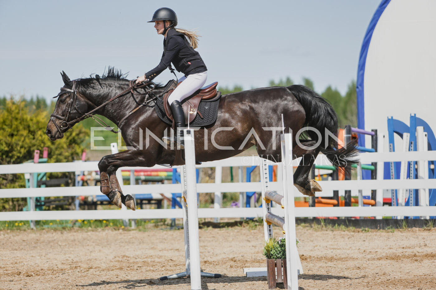 Gramina_Kevad_2026_100_484