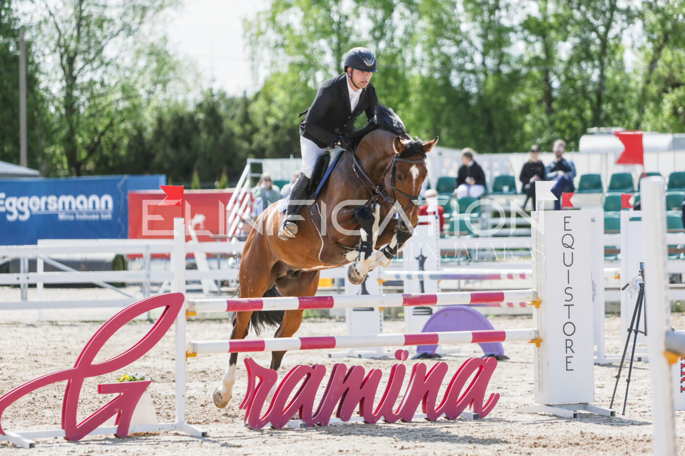 Gramina_Kevad_2026_100_485