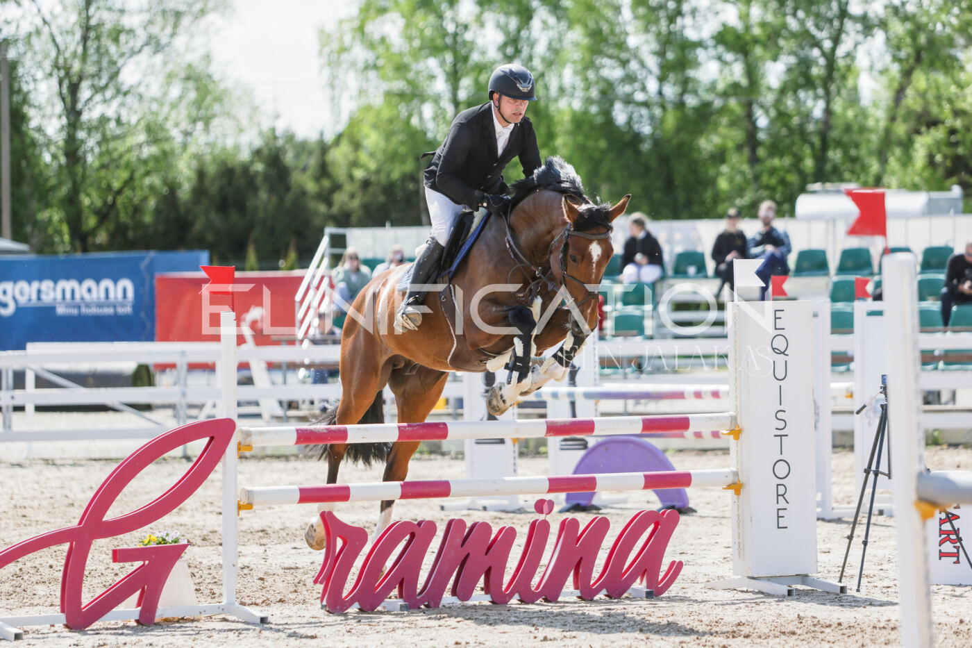 Gramina_Kevad_2026_100_486