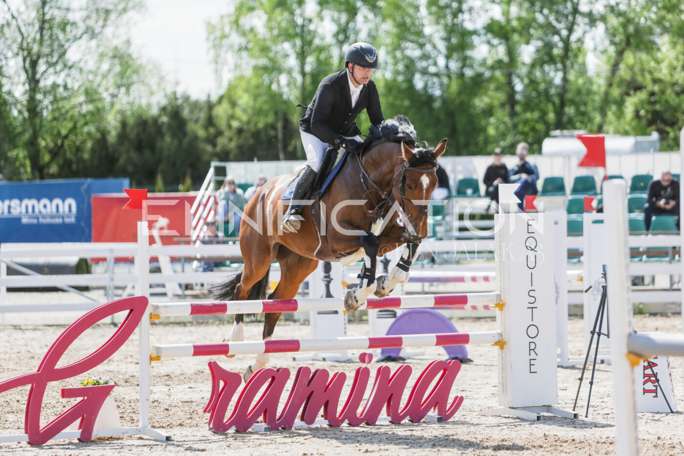 Gramina_Kevad_2026_100_487