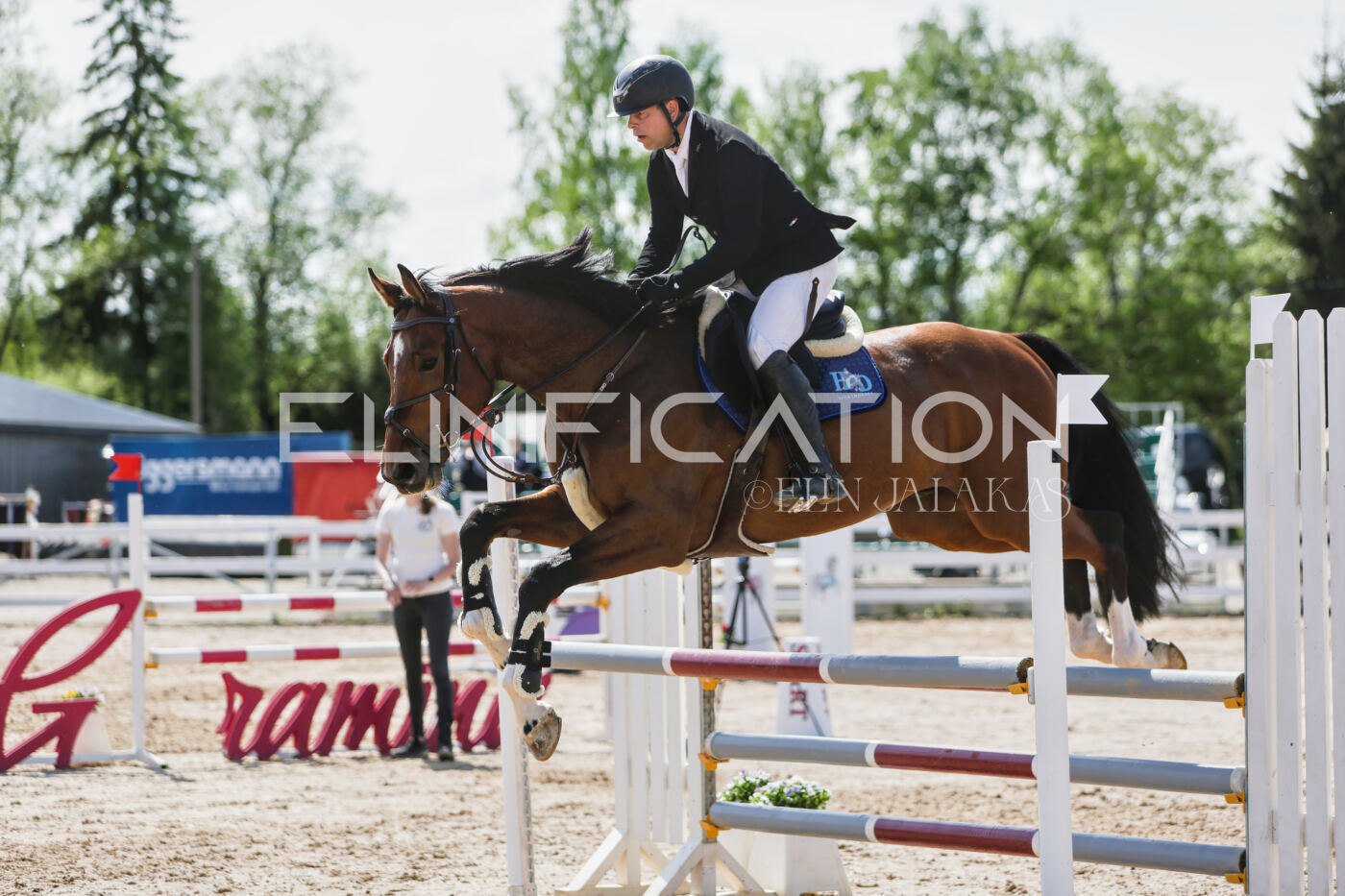Gramina_Kevad_2026_100_491