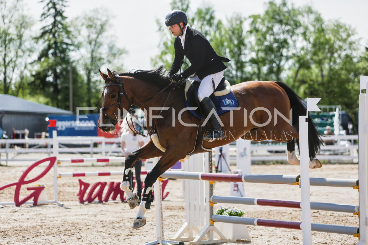 Gramina_Kevad_2026_100_492