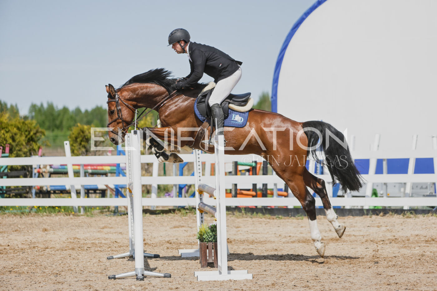 Gramina_Kevad_2026_100_495