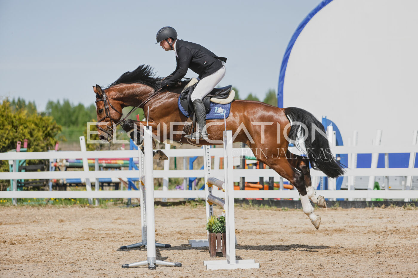 Gramina_Kevad_2026_100_496