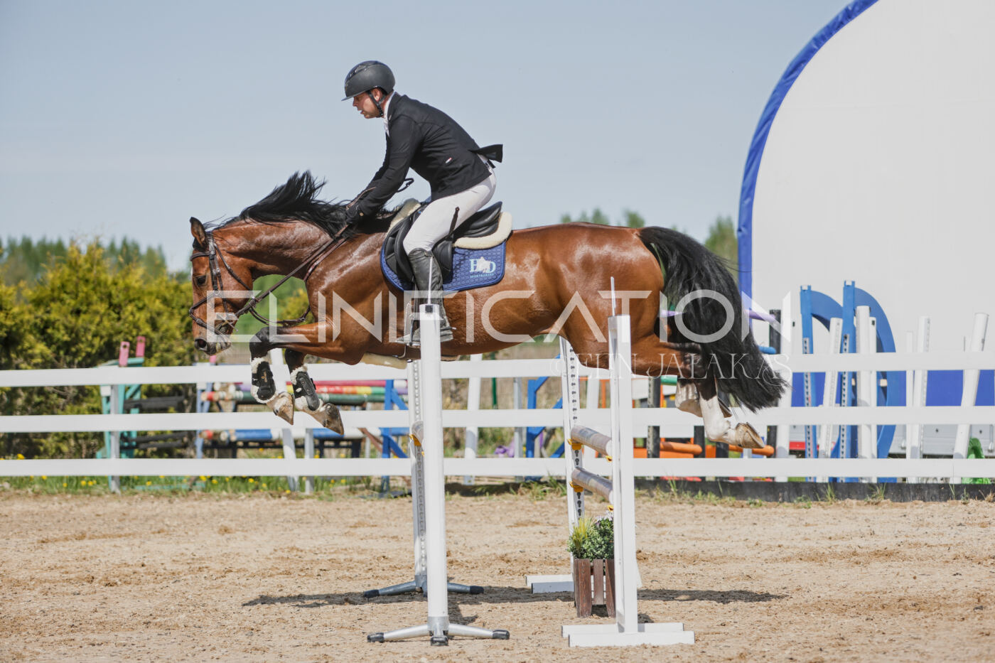 Gramina_Kevad_2026_100_498