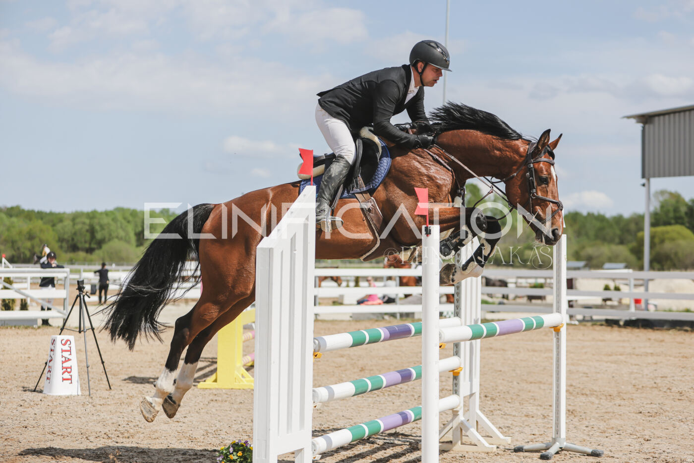 Gramina_Kevad_2026_110_001