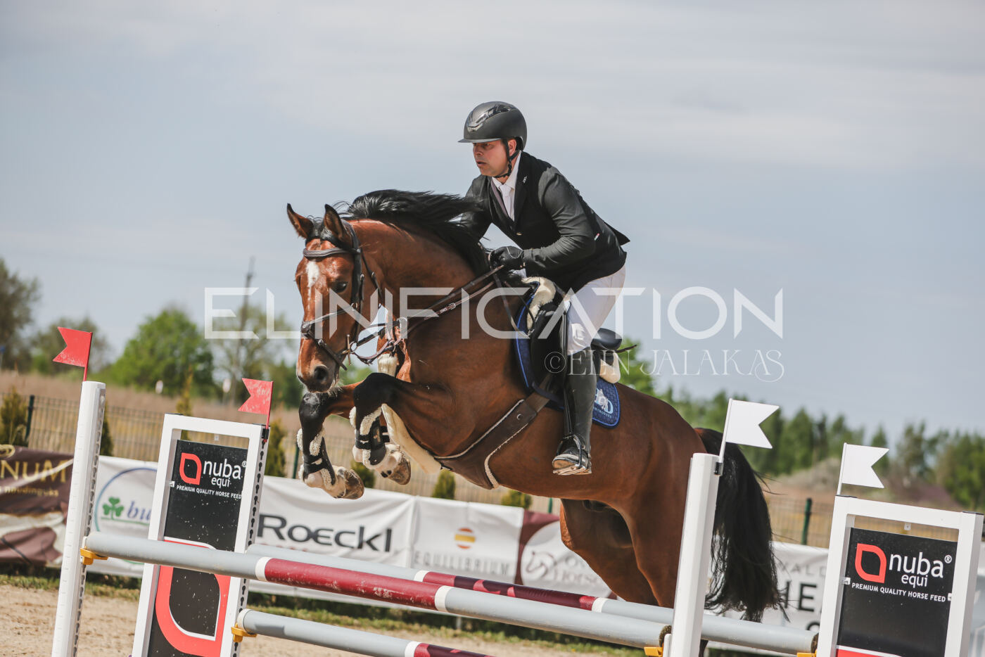 Gramina_Kevad_2026_110_006
