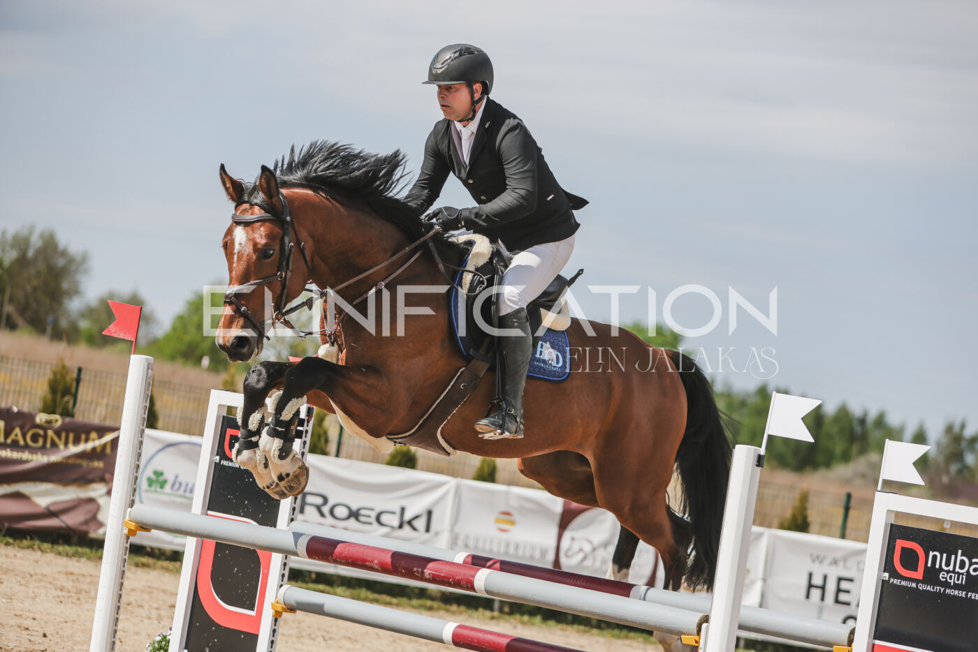 Gramina_Kevad_2026_110_008