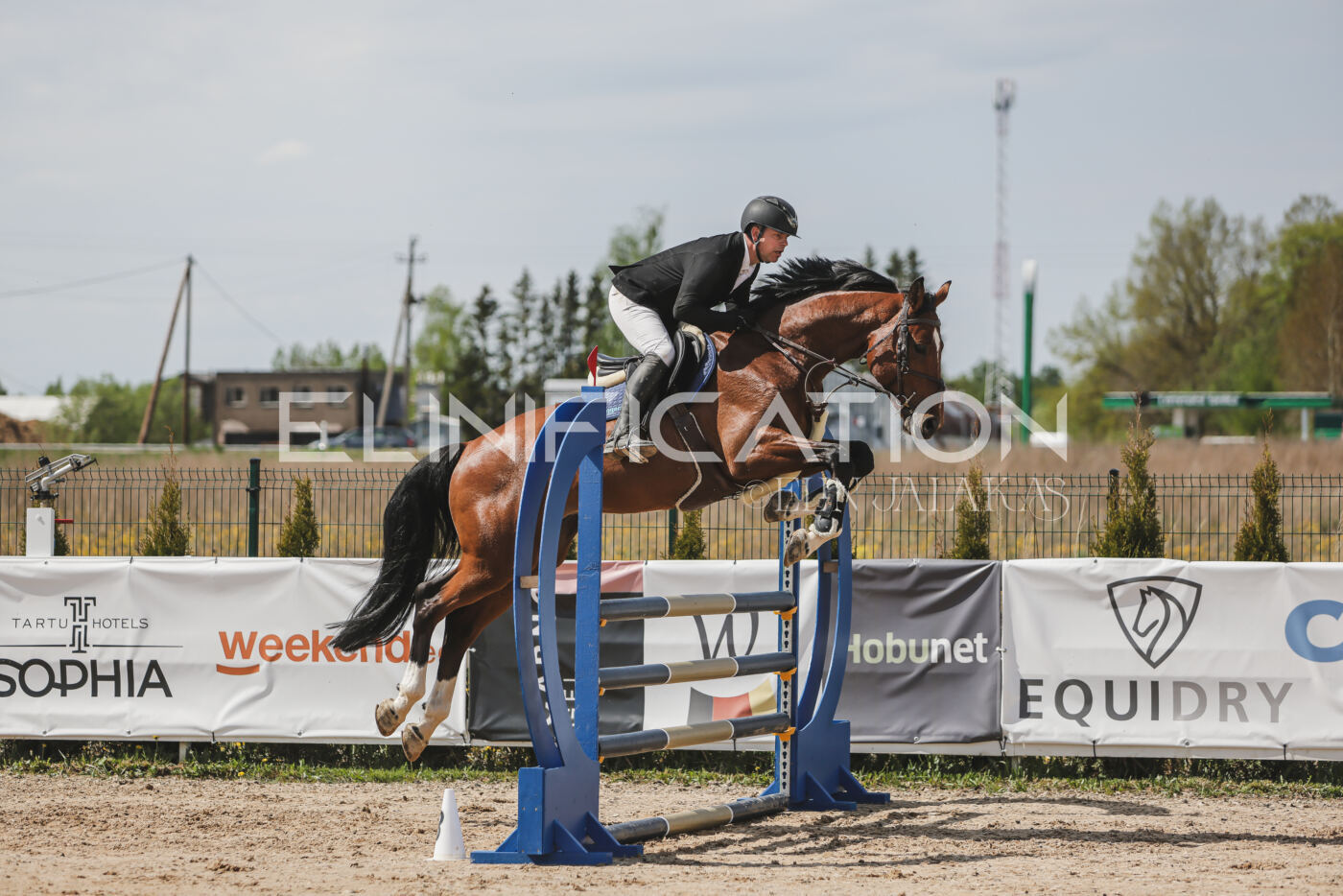 Gramina_Kevad_2026_110_013