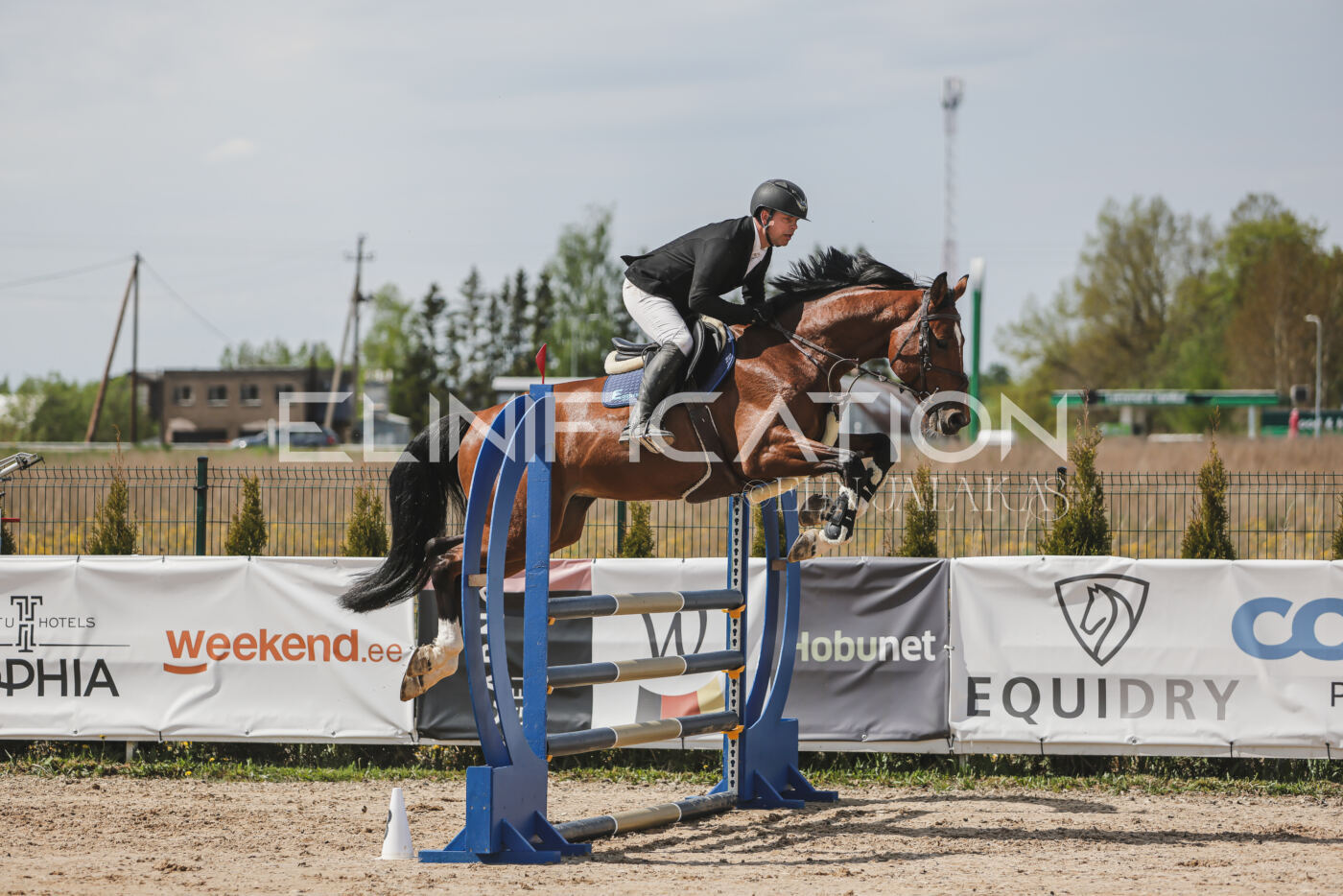 Gramina_Kevad_2026_110_014