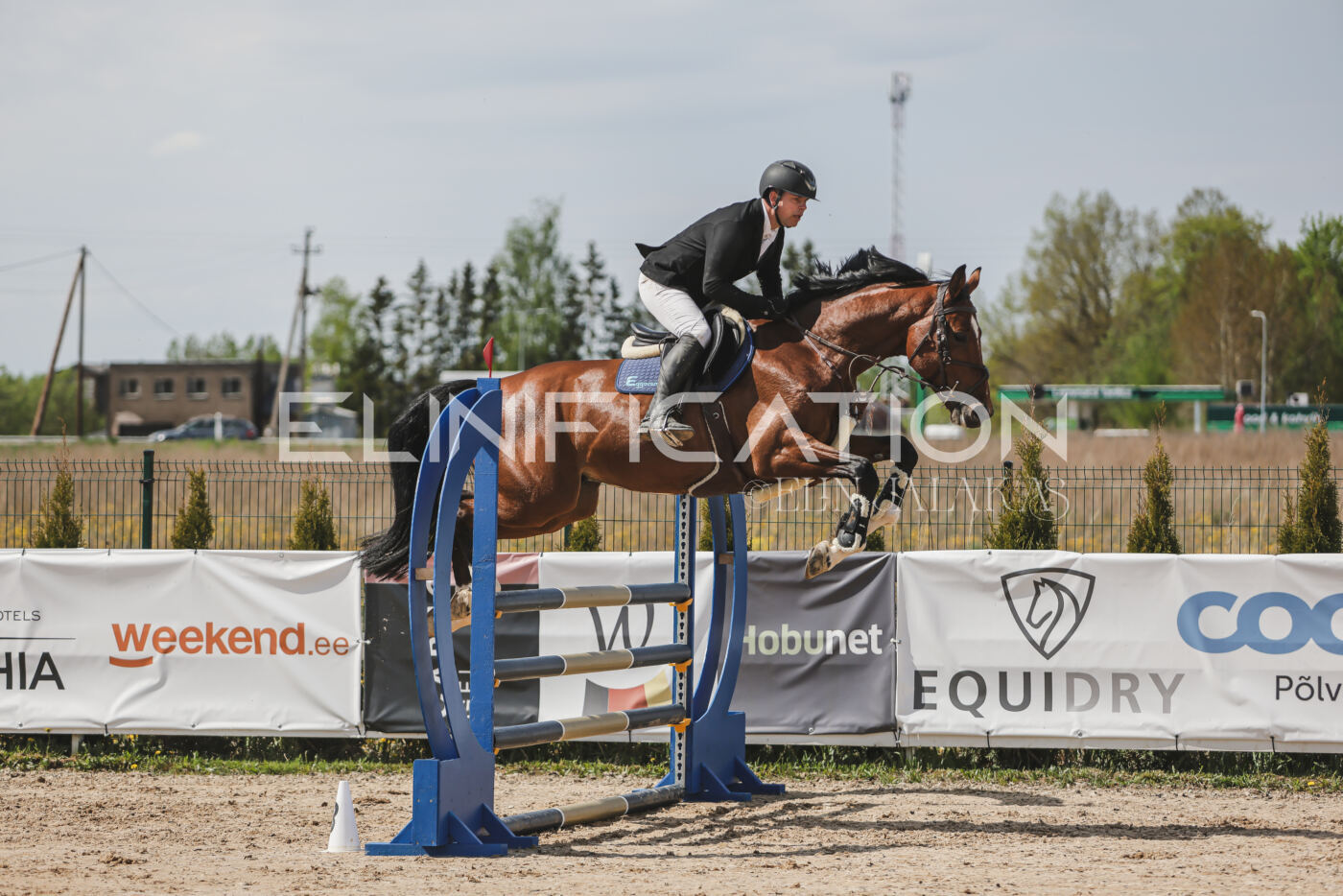 Gramina_Kevad_2026_110_015