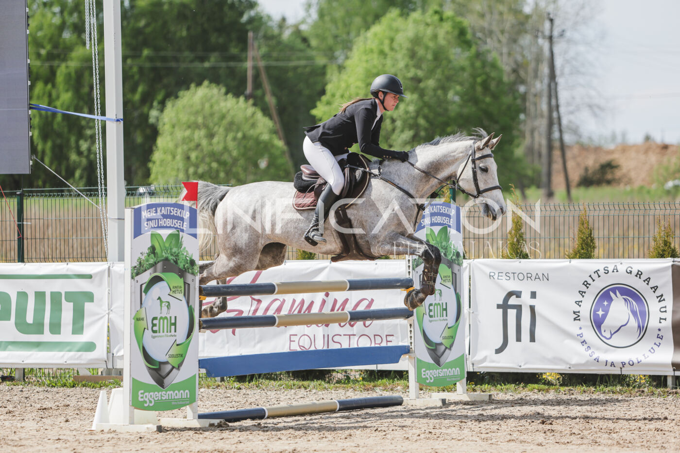 Gramina_Kevad_2026_110_031