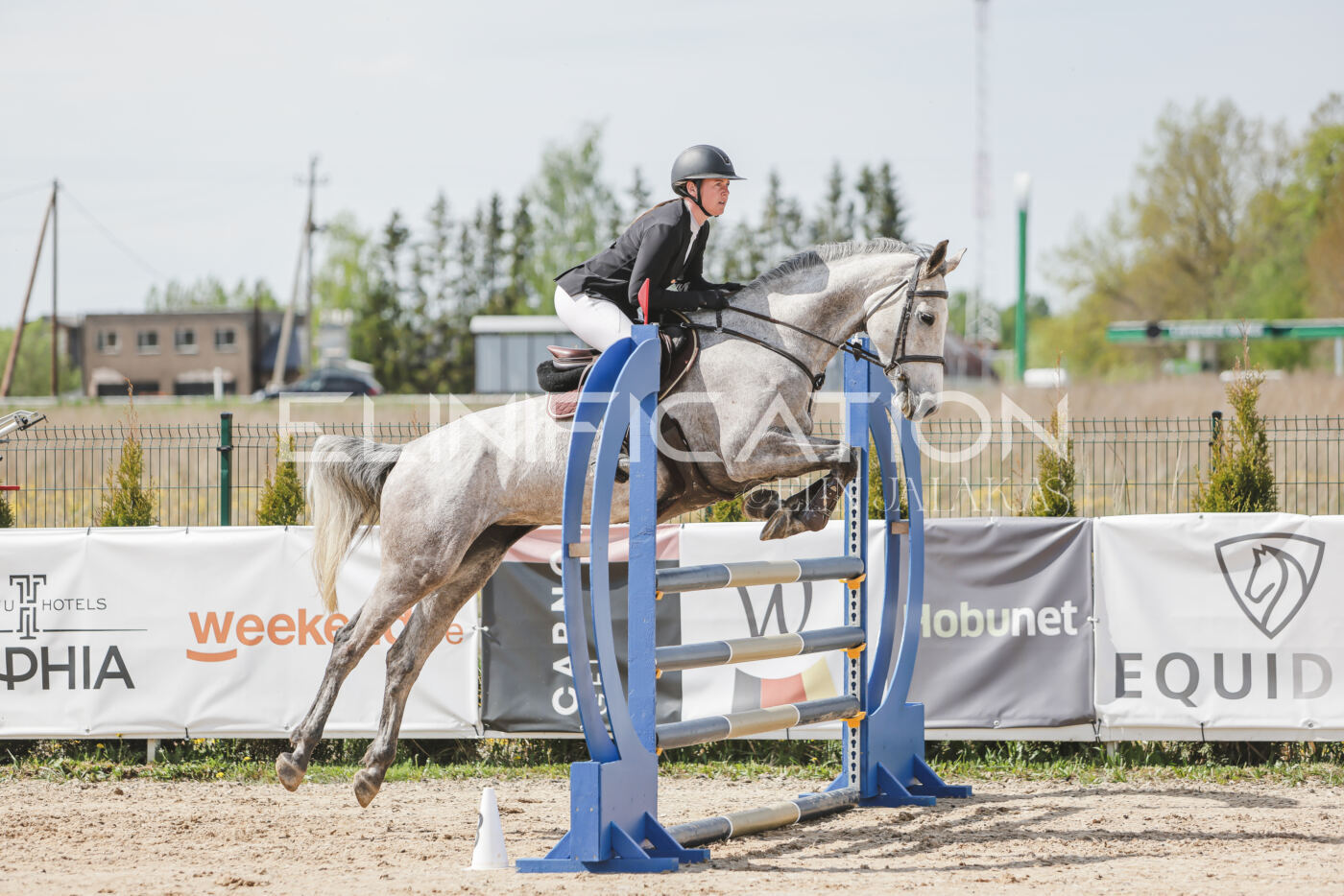 Gramina_Kevad_2026_110_033