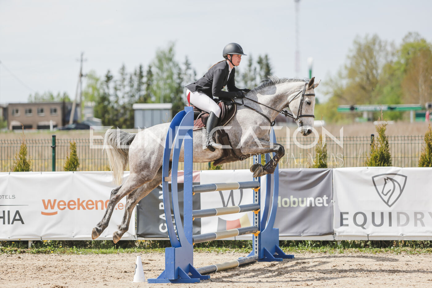 Gramina_Kevad_2026_110_034
