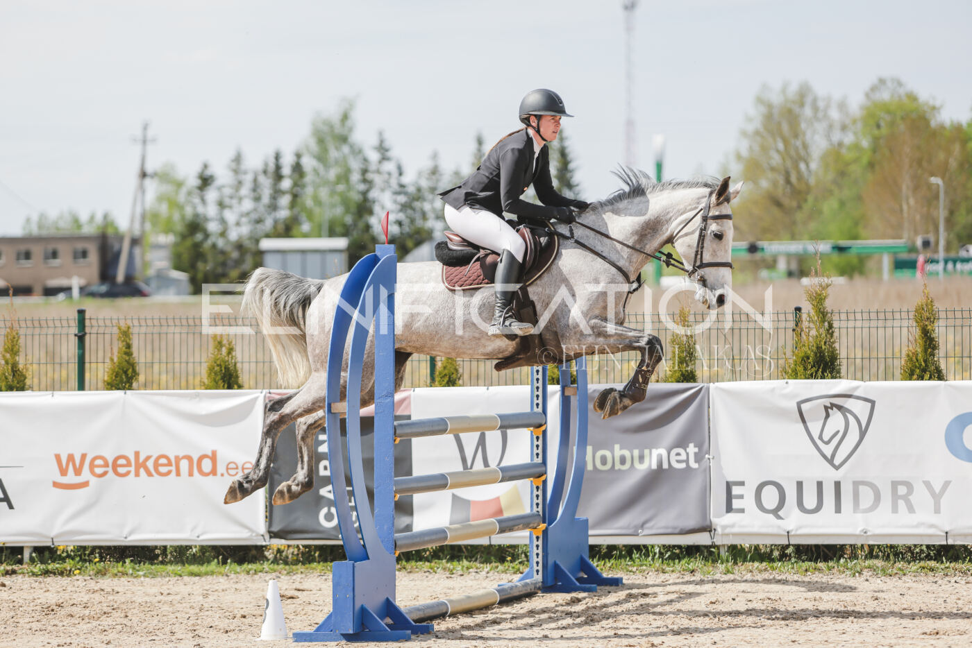 Gramina_Kevad_2026_110_035