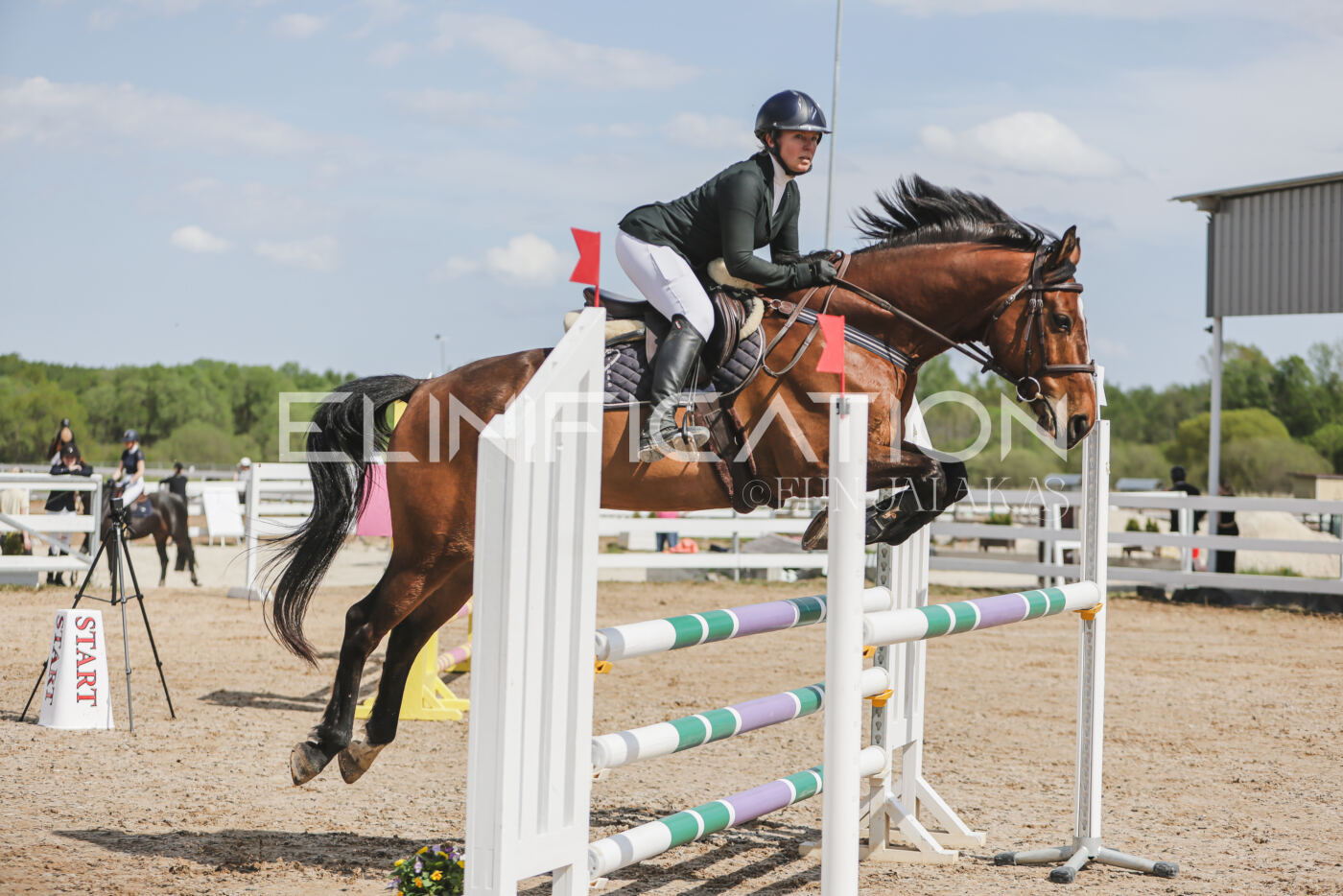 Gramina_Kevad_2026_110_038