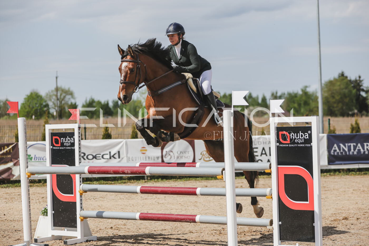 Gramina_Kevad_2026_110_042