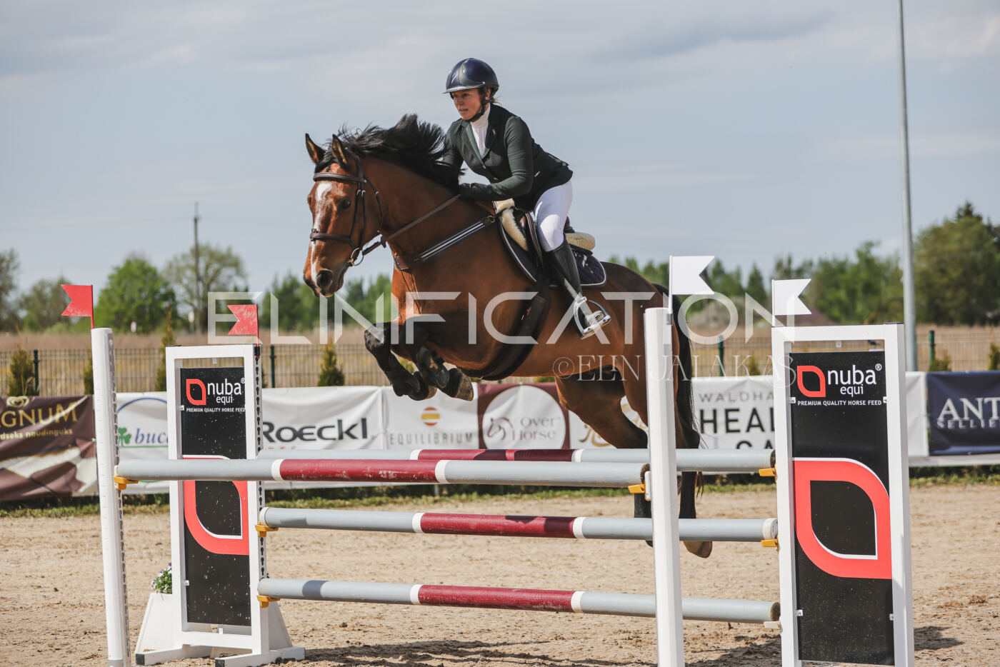 Gramina_Kevad_2026_110_043