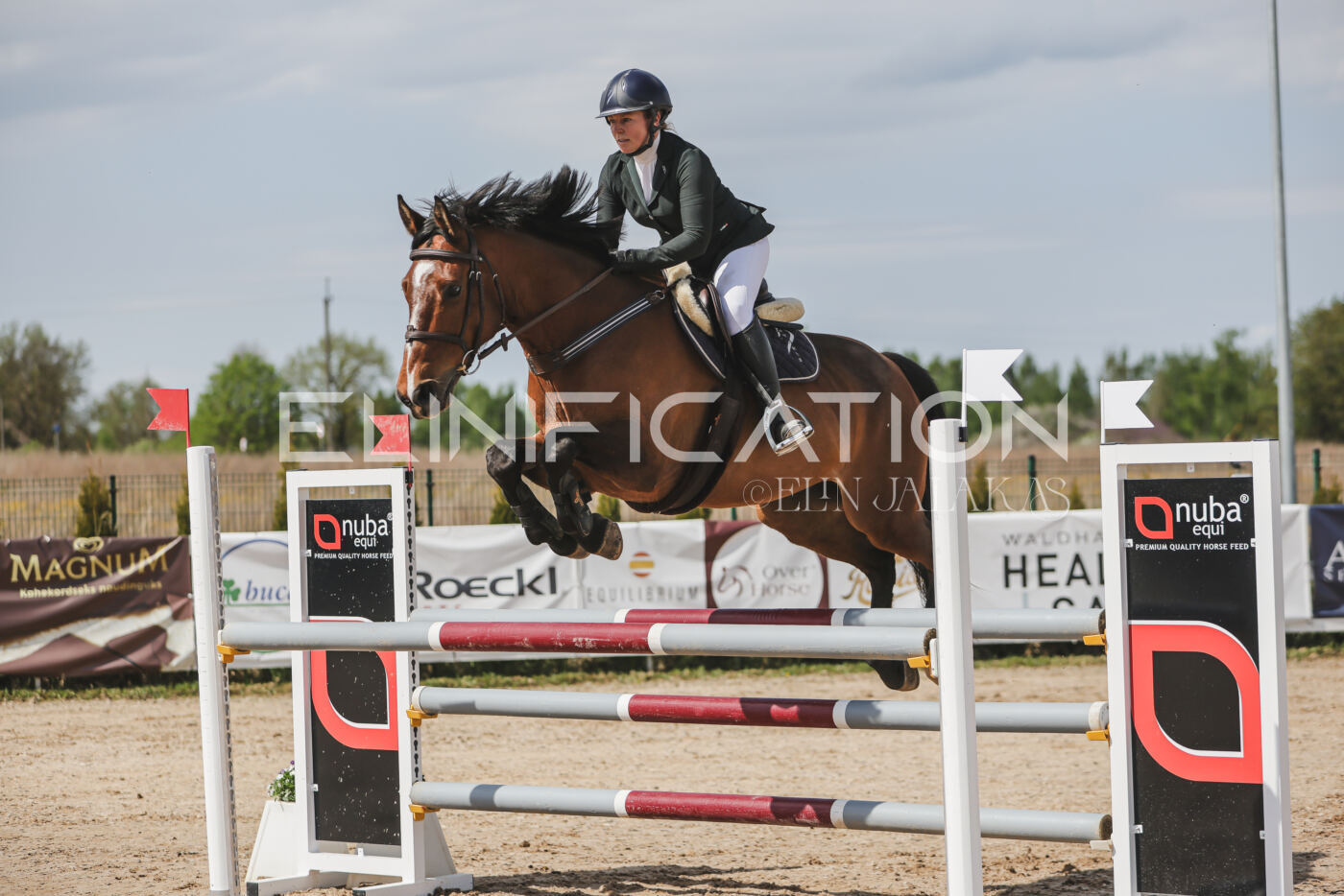 Gramina_Kevad_2026_110_044