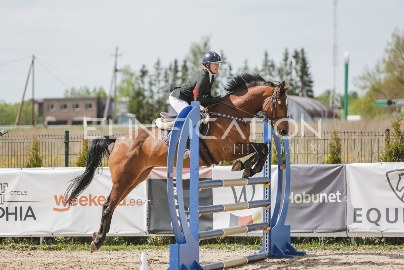 Gramina_Kevad_2026_110_048