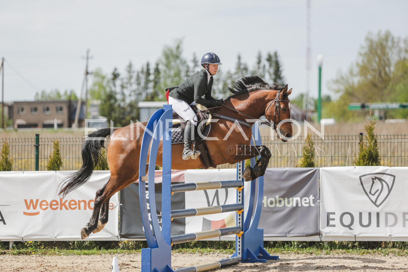 Gramina_Kevad_2026_110_049