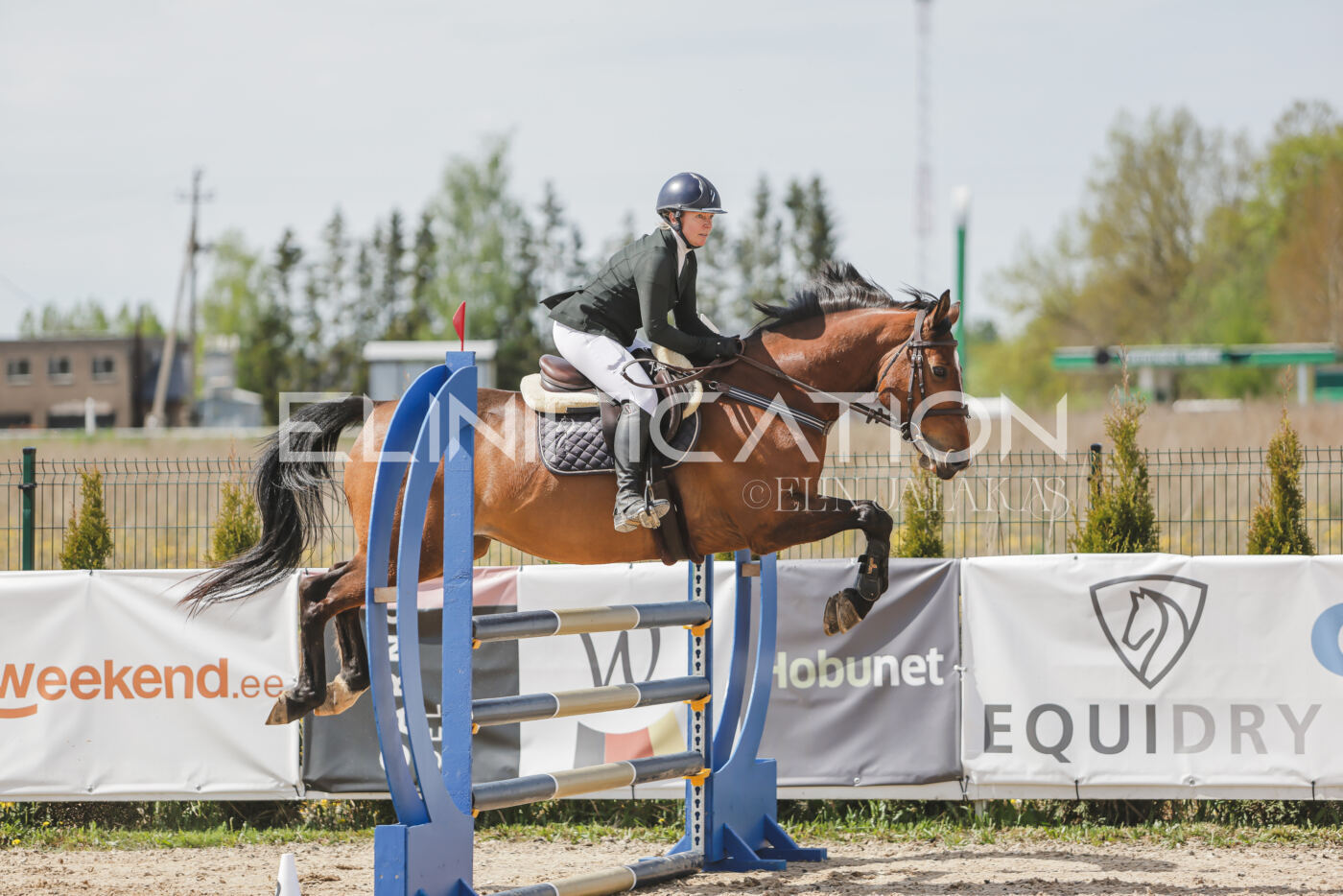 Gramina_Kevad_2026_110_050