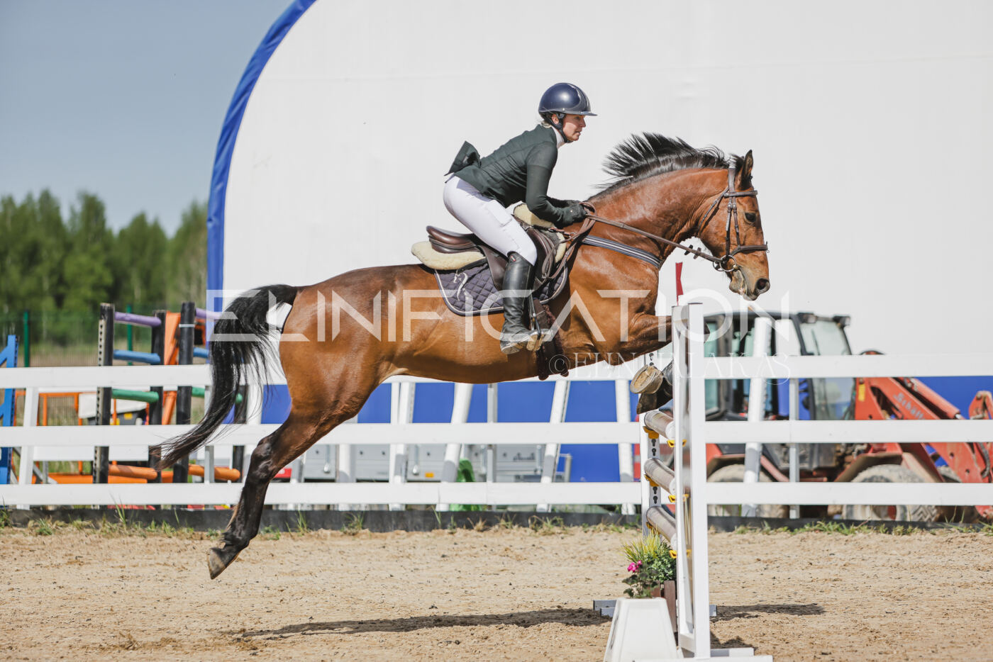 Gramina_Kevad_2026_110_051