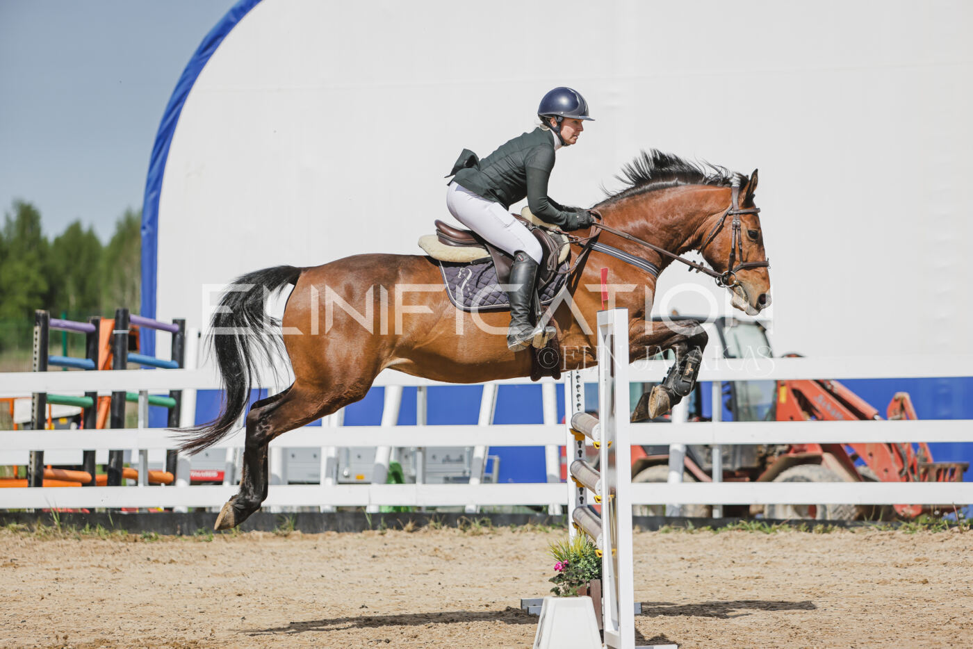 Gramina_Kevad_2026_110_052