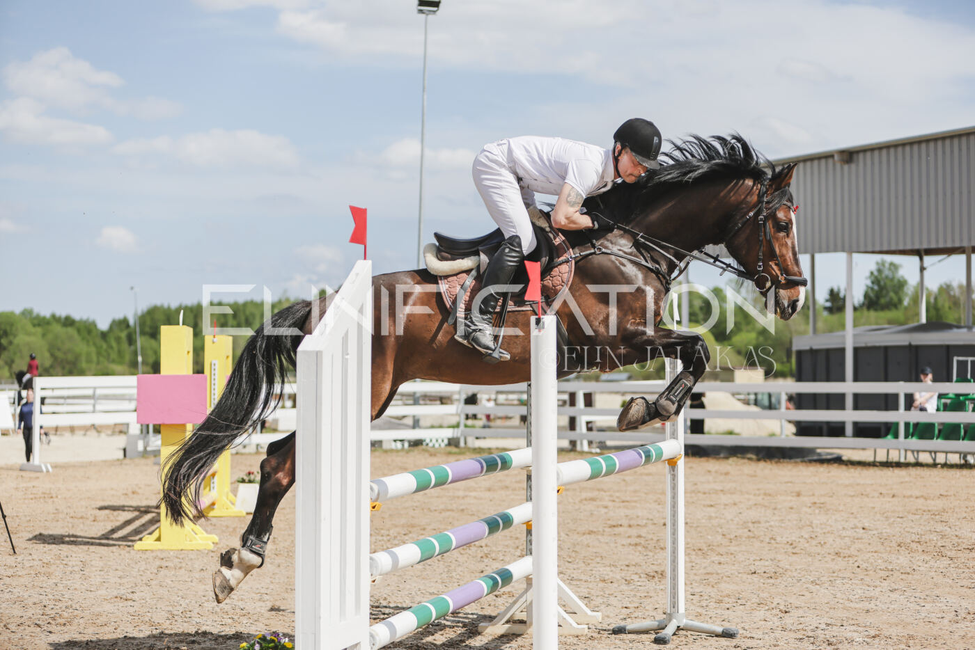 Gramina_Kevad_2026_110_054