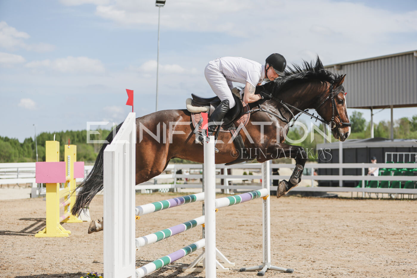 Gramina_Kevad_2026_110_055
