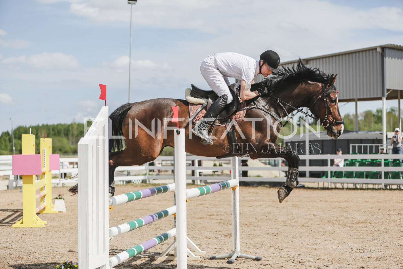 Gramina_Kevad_2026_110_056