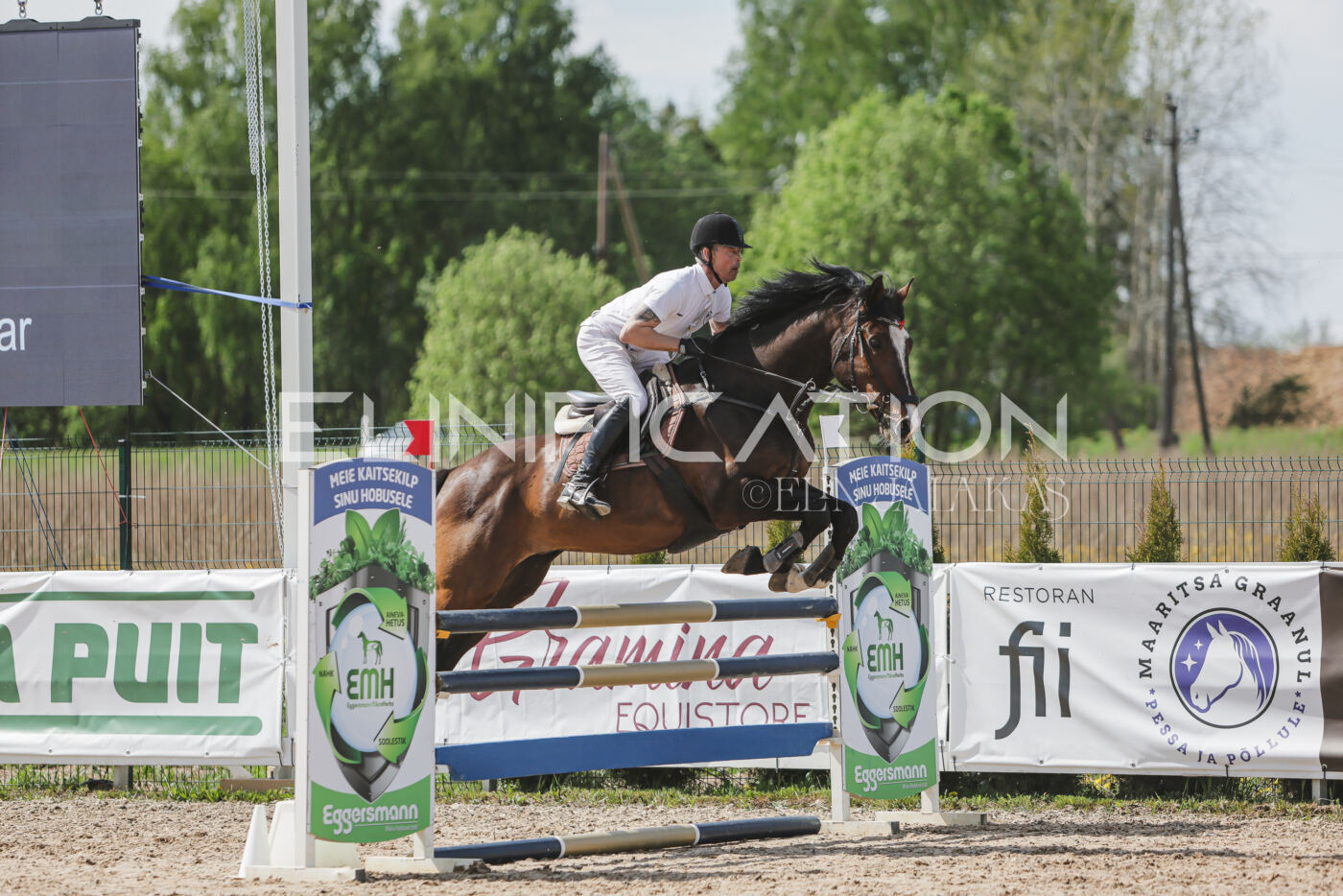 Gramina_Kevad_2026_110_057