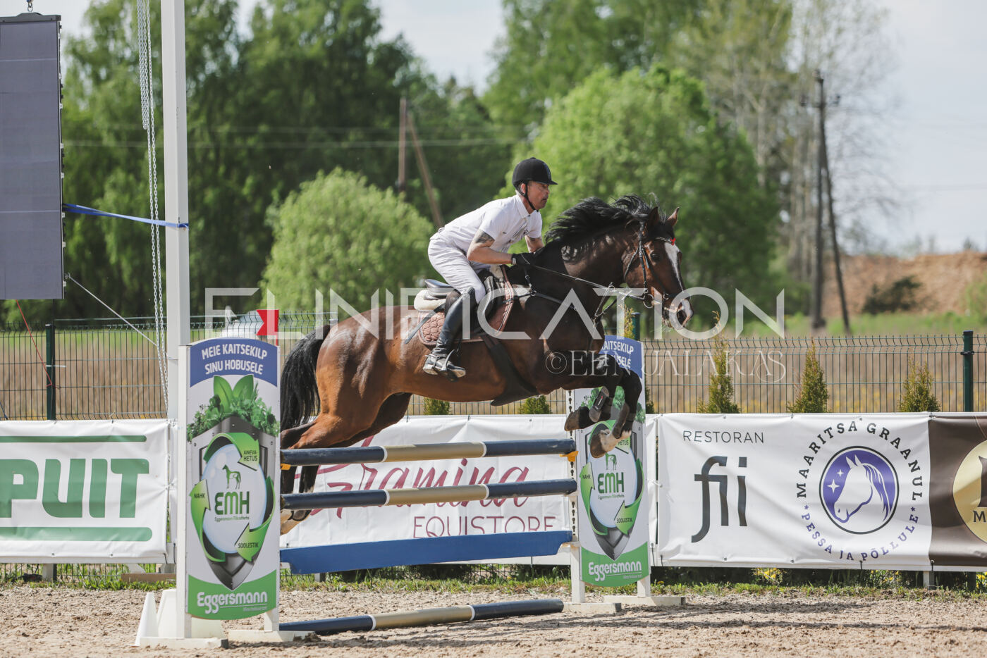 Gramina_Kevad_2026_110_058