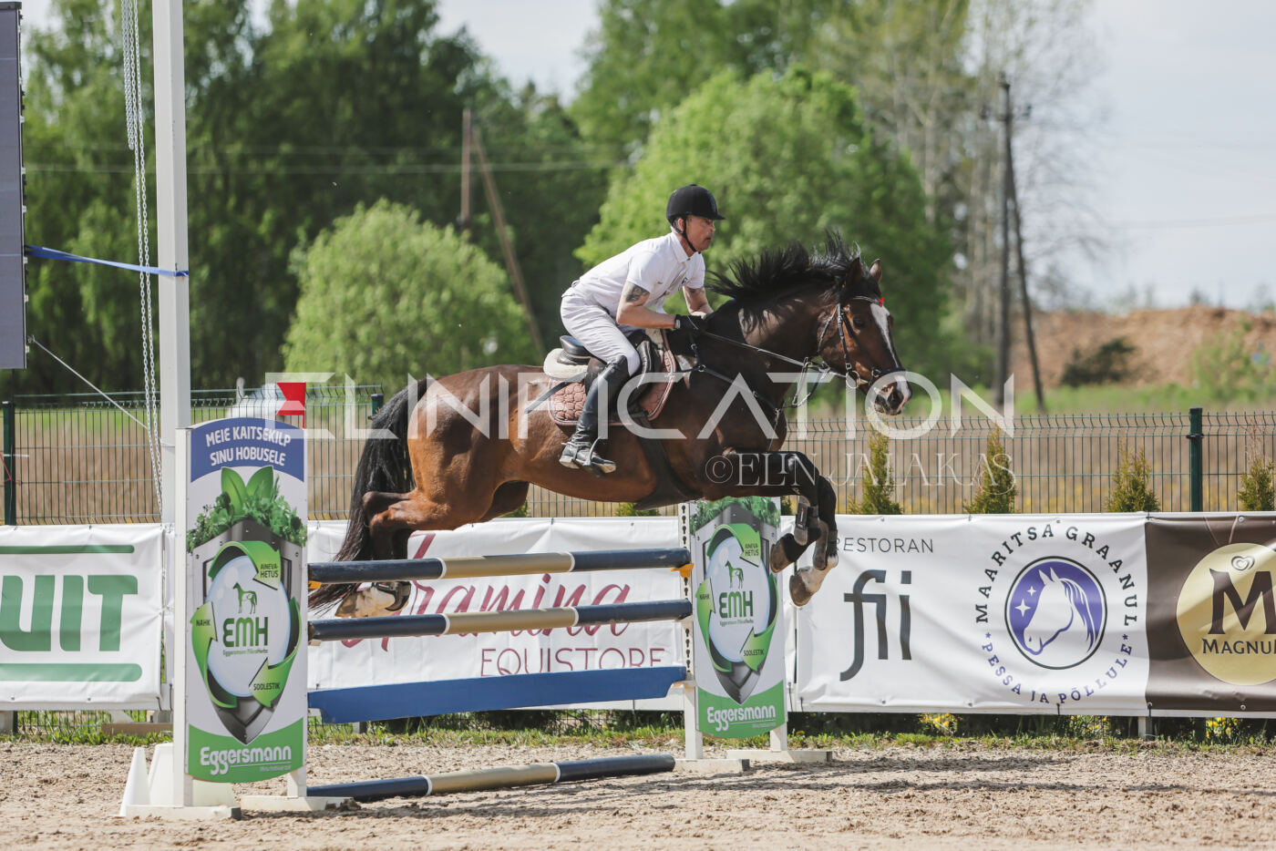 Gramina_Kevad_2026_110_059