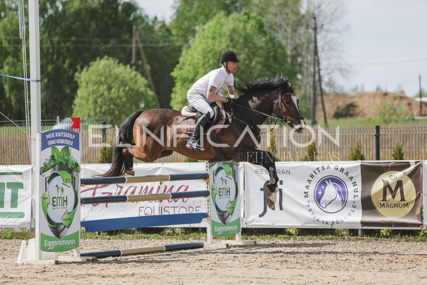 Gramina_Kevad_2026_110_060