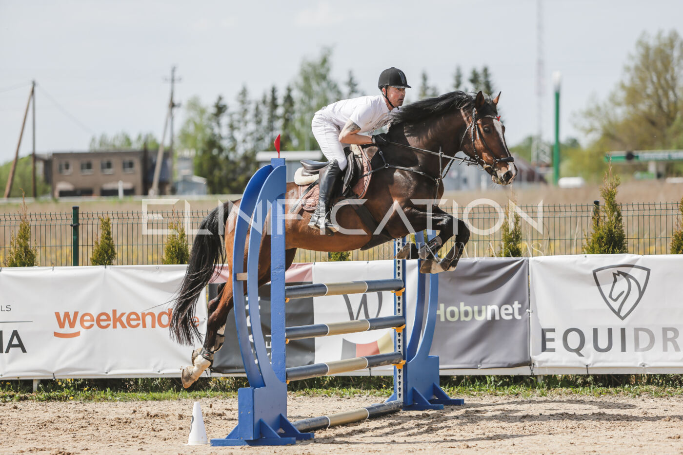 Gramina_Kevad_2026_110_061