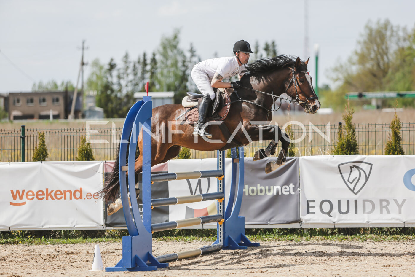 Gramina_Kevad_2026_110_062