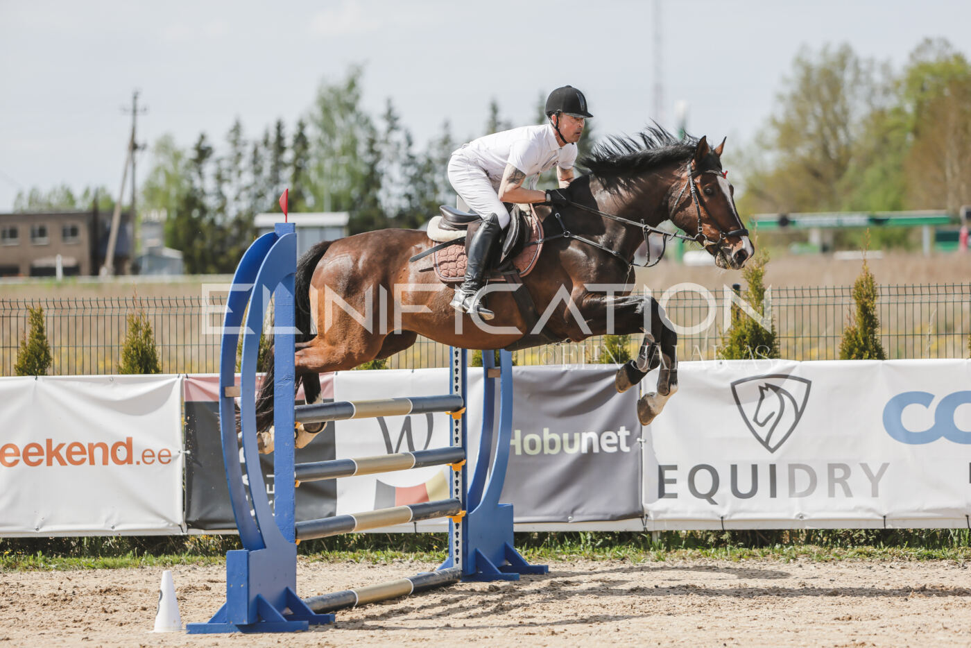 Gramina_Kevad_2026_110_063