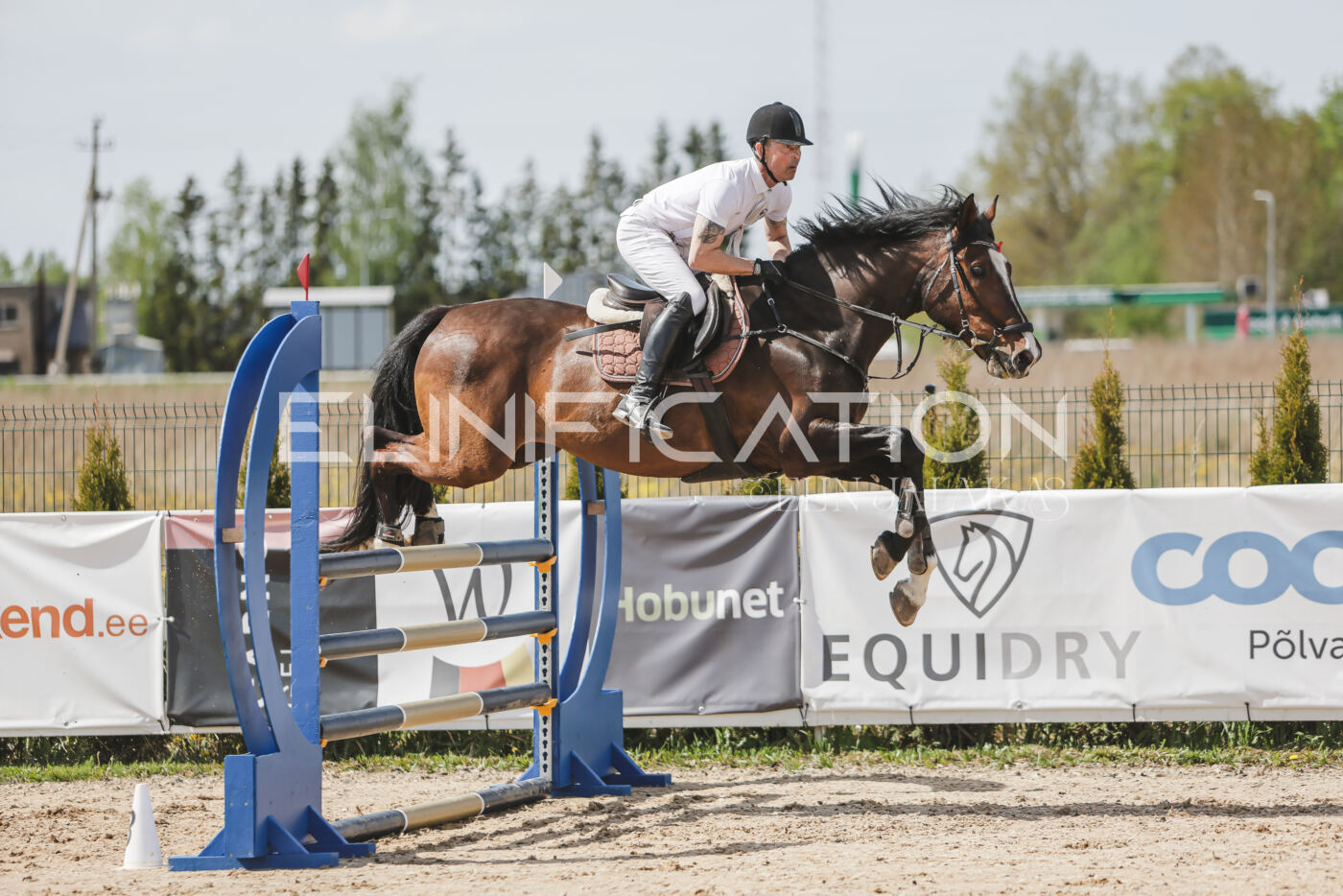 Gramina_Kevad_2026_110_064