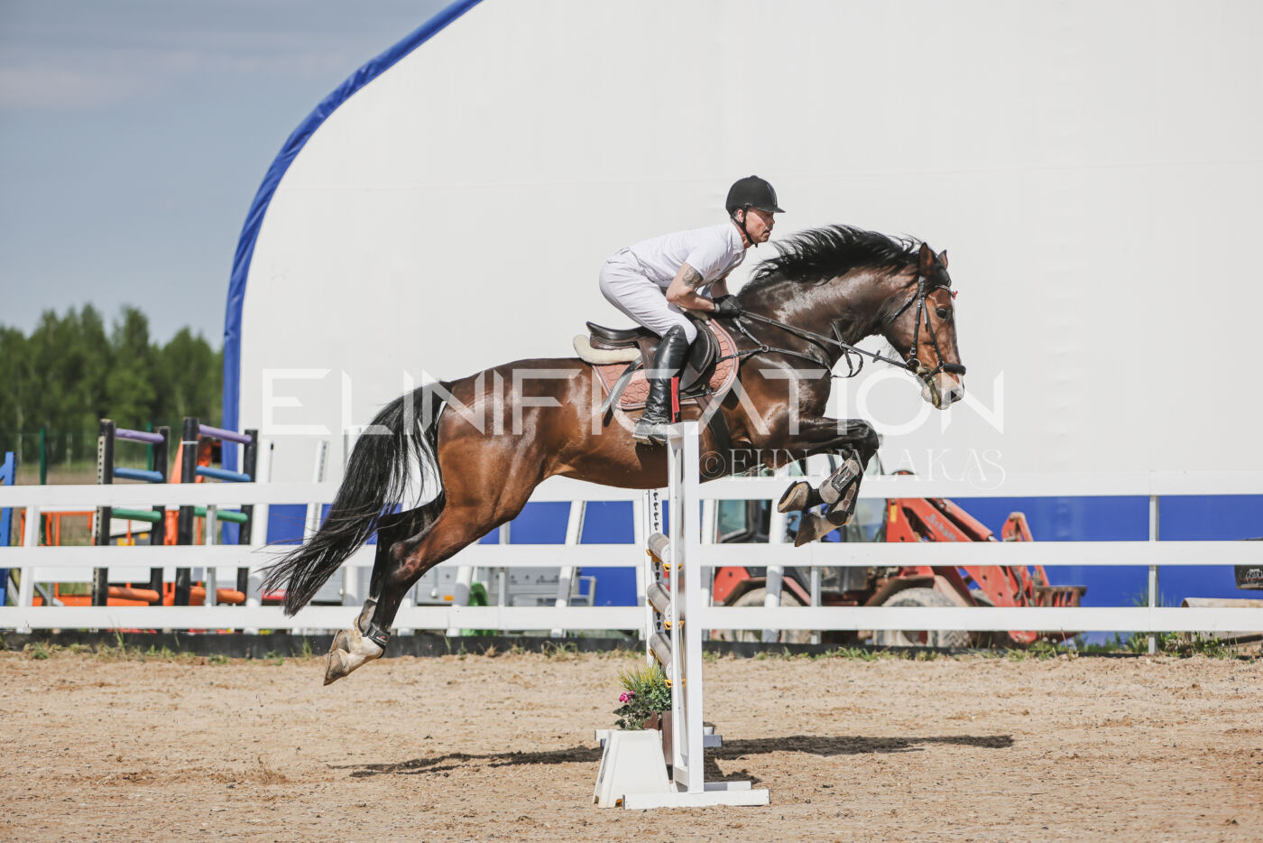 Gramina_Kevad_2026_110_066