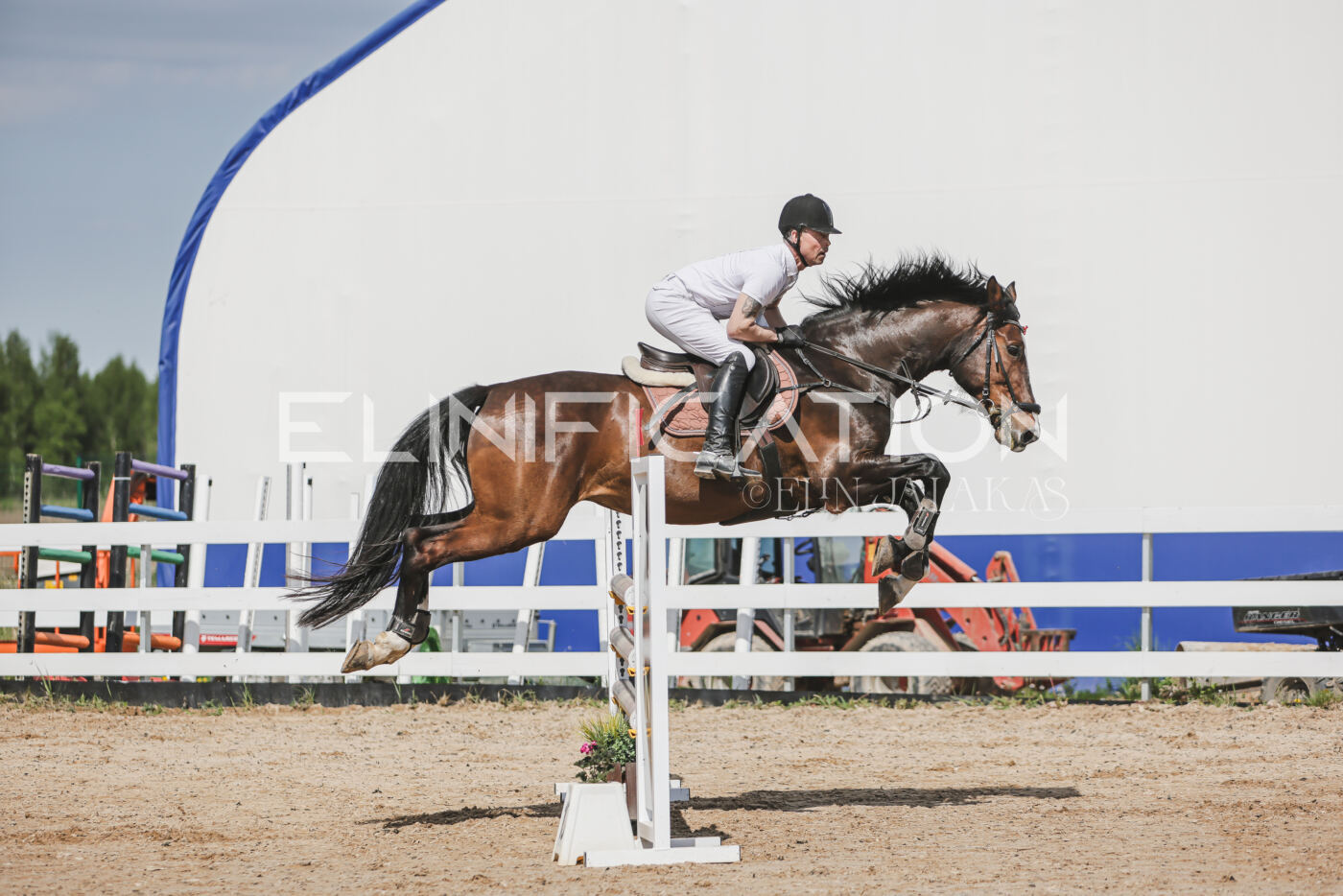 Gramina_Kevad_2026_110_067