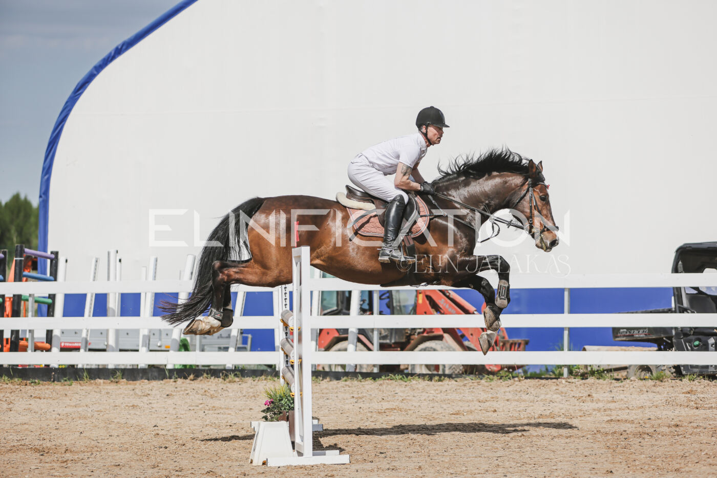 Gramina_Kevad_2026_110_068